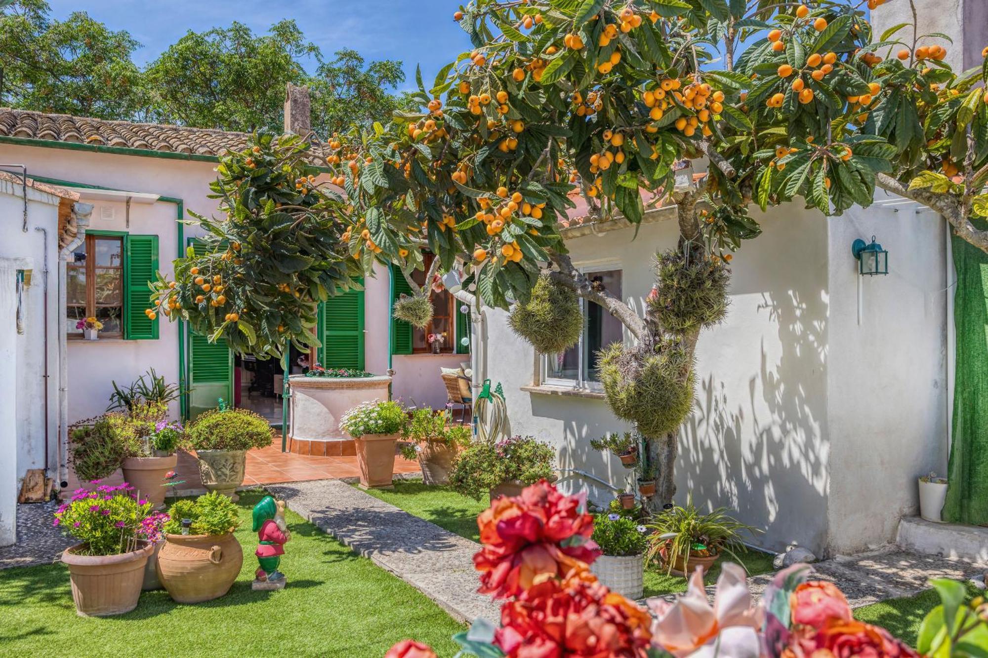 Casa Vileta Palma de Mallorca